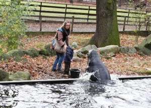 zoopark2