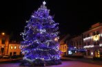 DENÍK – Anketa o nejhezčí vánoční strom začala 9. prosince
