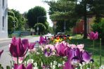 Letní květinová výzdoba města